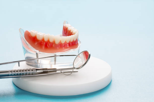Professional  Holistic Dental Services in Wellington, TX